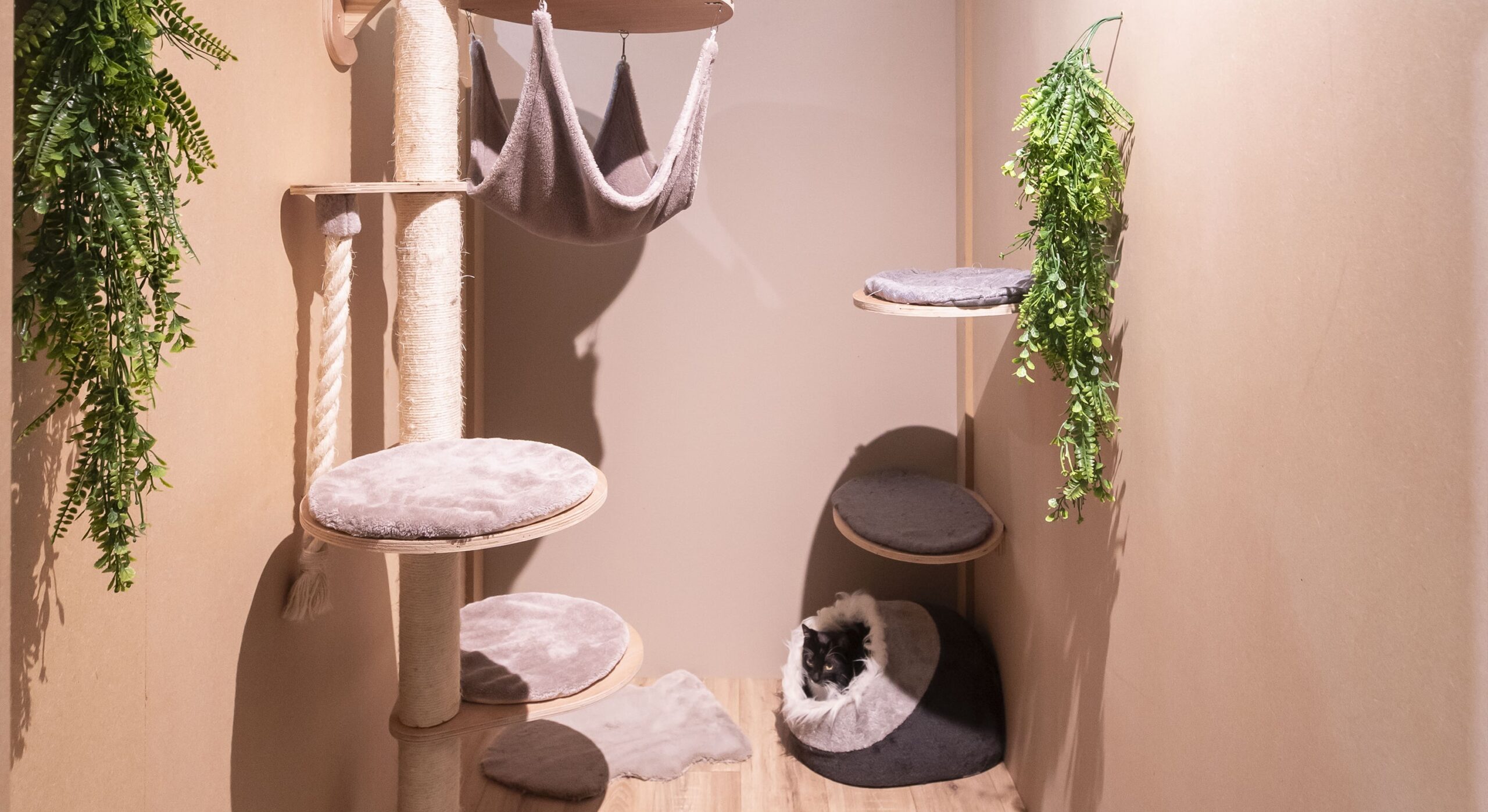 Uccle - Cat's Boutique Hôtel - Room double