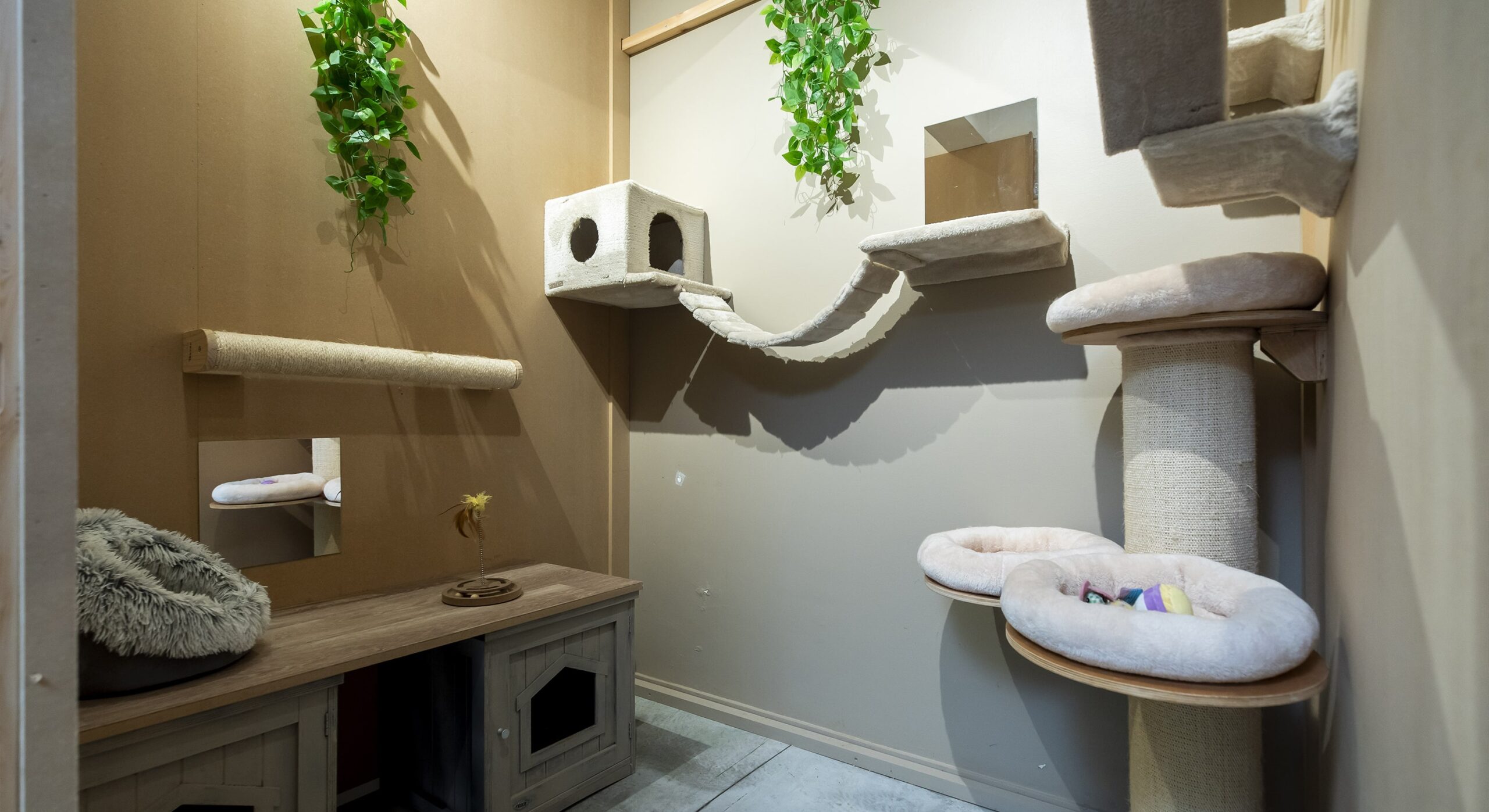 Uccle - Cat's Boutique Hôtel - Suite