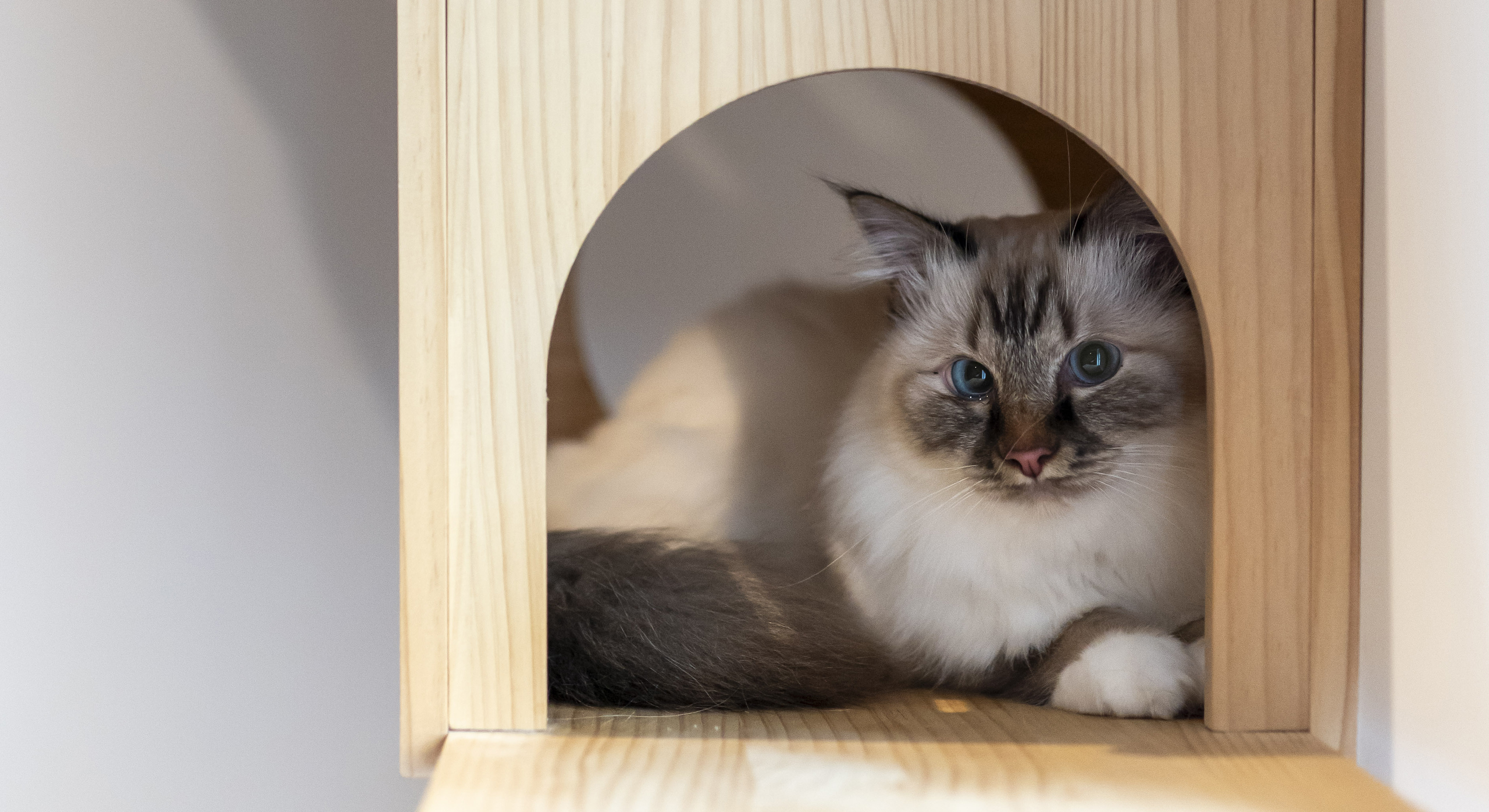 Cat's Boutique Hôtel - Déroulement de son séjour