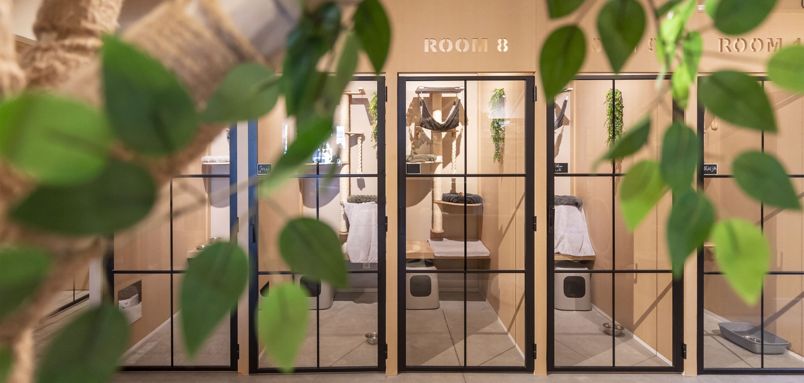 Cat's boutique hôtel - uccle