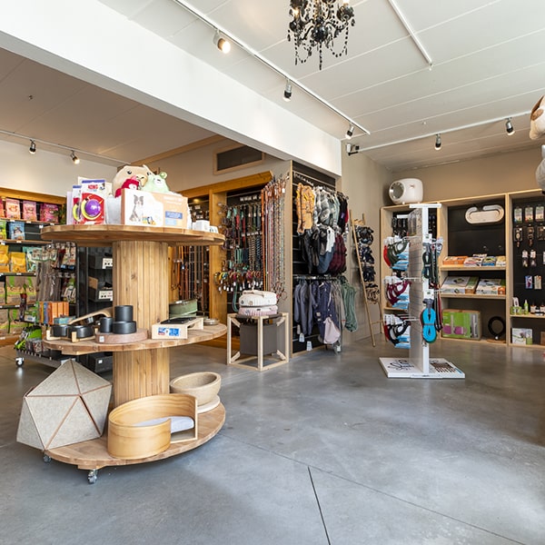 Cat's boutique hôtel - Uccle - Boutique