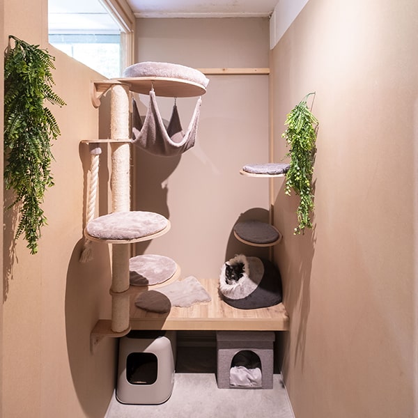 Uccle - Cat's Boutique Hôtel - Room double