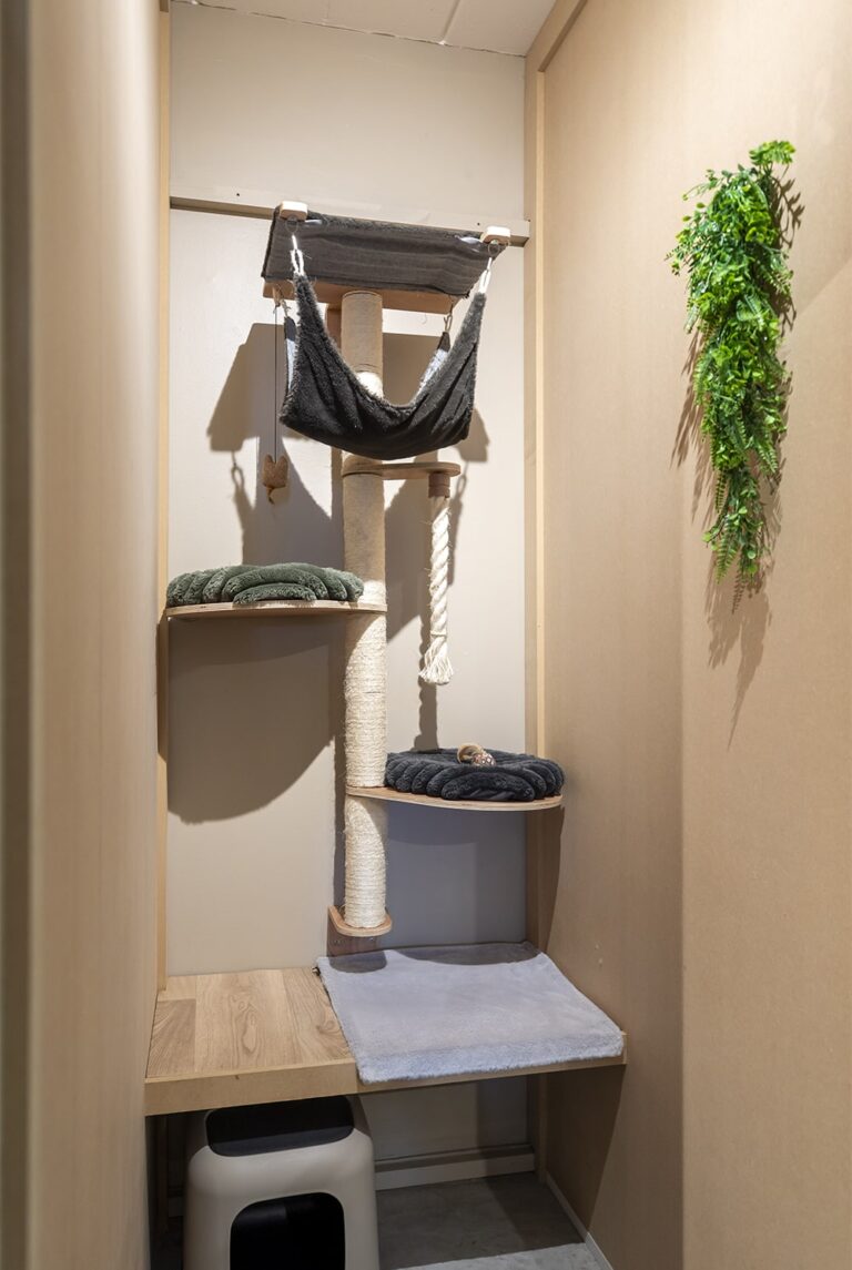 Cat's boutique Hôtel Room Uccle