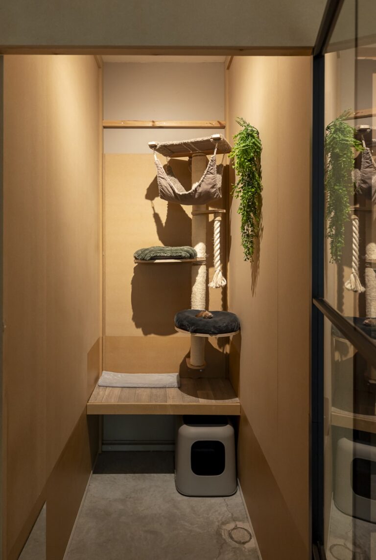 Cat's boutique Hôtel Room Uccle