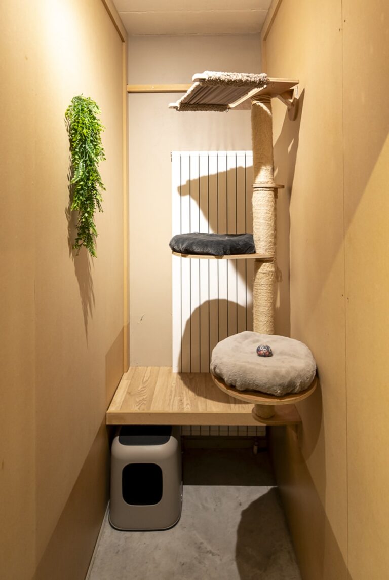 Cat's boutique Hôtel Room Uccle