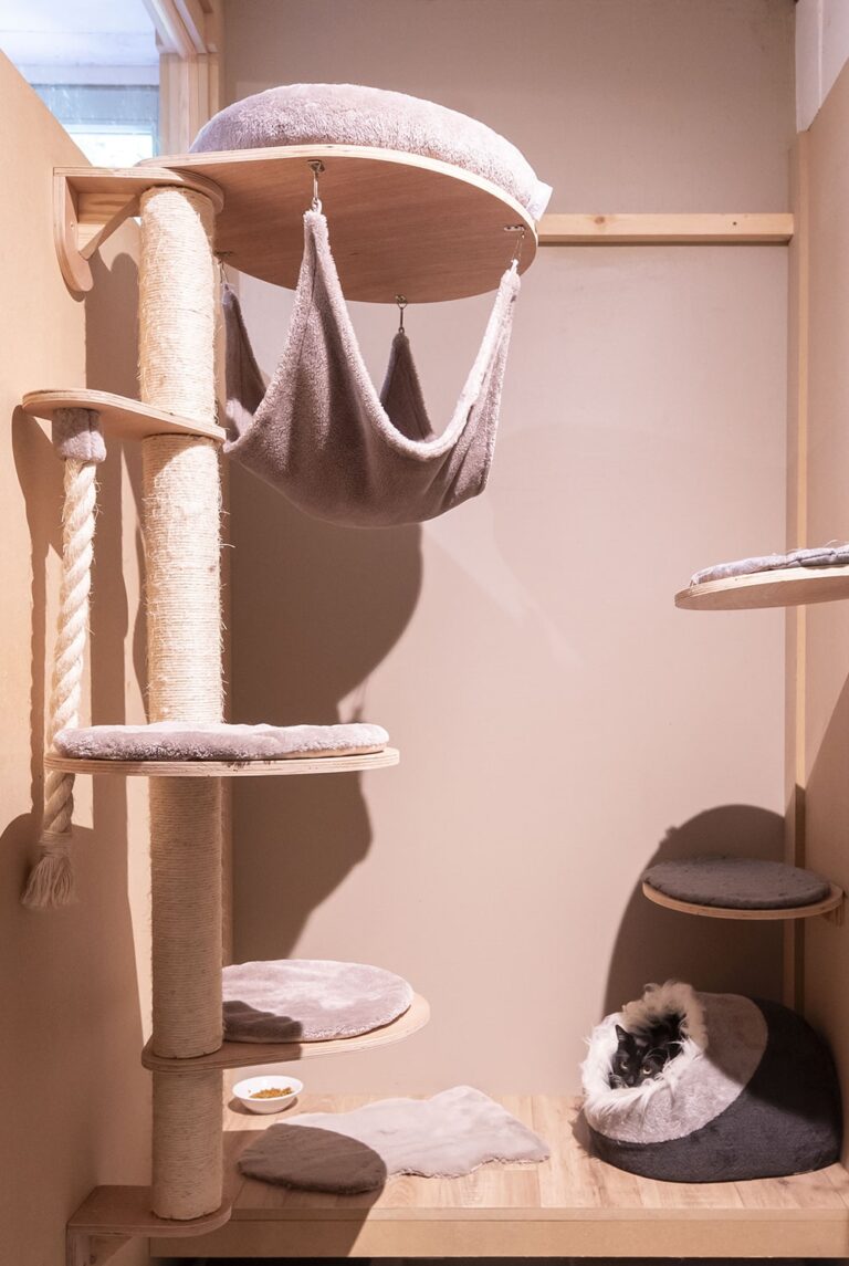 Uccle - Cat's Boutique Hôtel - Room double